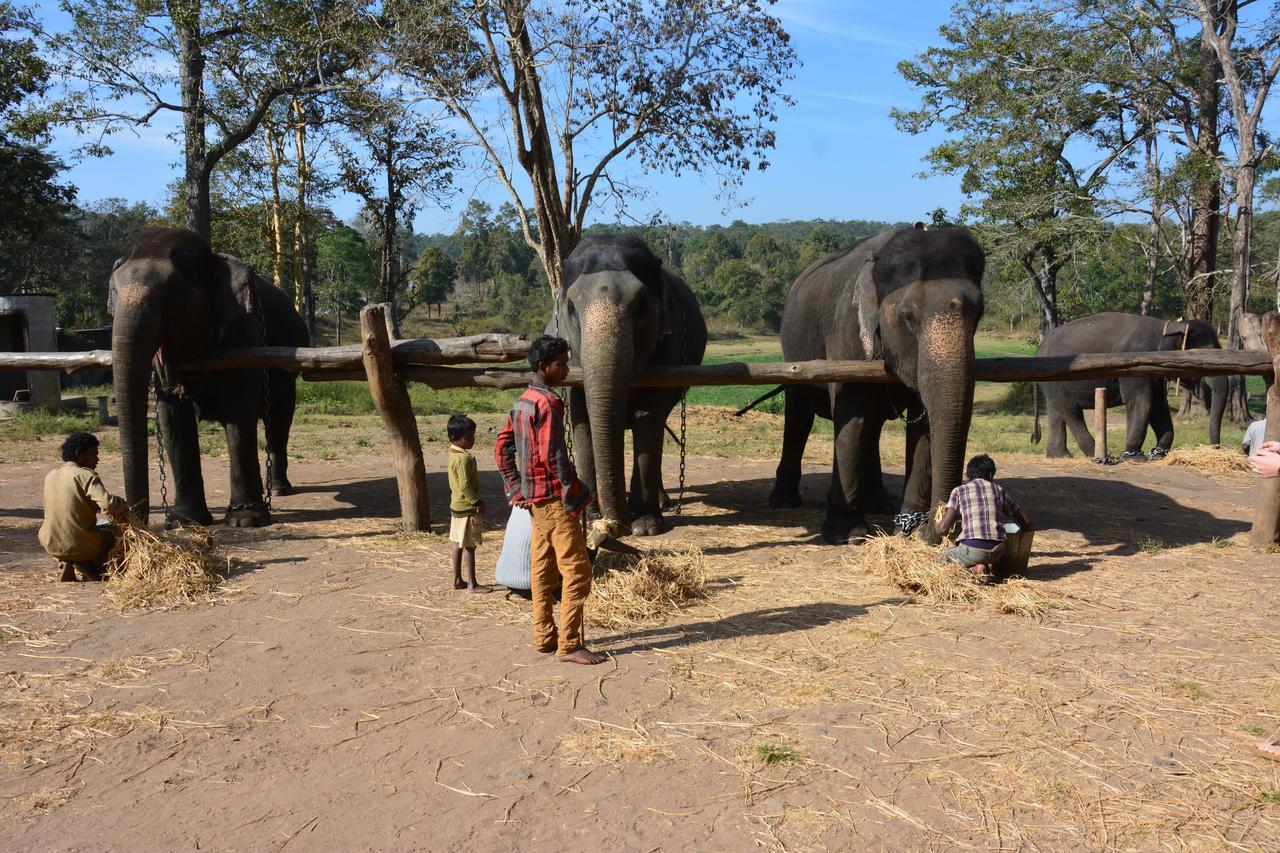 Red Earth Kabini Begūr Eksteriør billede
